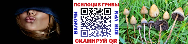 Купить закладки  Талица  Галлюциногенные грибы Magic Shrooms 
